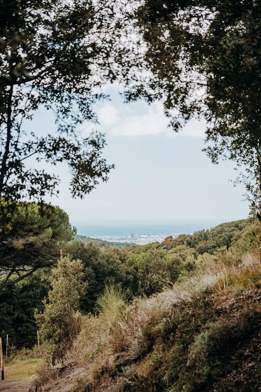 Vista sulla costa dai sentieri di Valle Benedetta